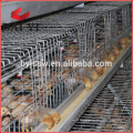 Nouveau design plus solide et durable cages de poulet pour les poussins d&#39;un jour